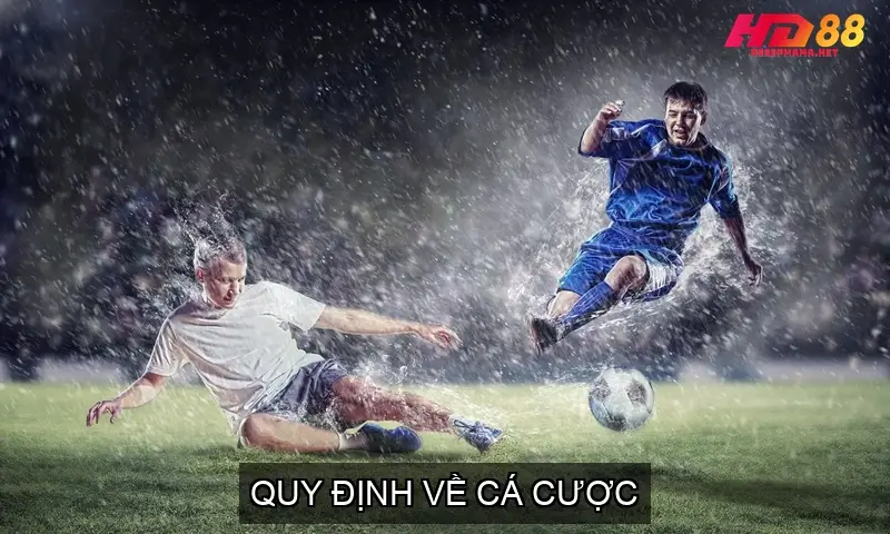 Quy Định Về Cá Cược