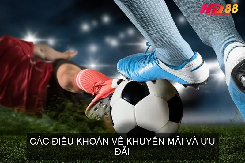 Trách Nhiệm Của Người Chơi