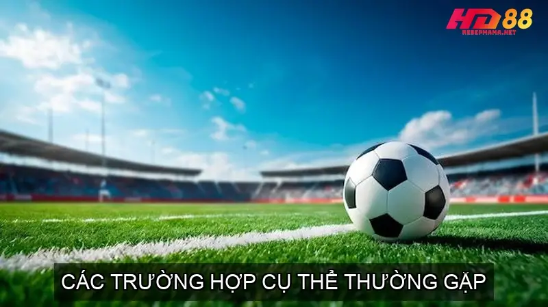 Chính Sách Miễn Trừ Trách Nhiệm Của Nhà Cái HD88 4 Các Trường Hợp Cụ Thể Thường Gặp