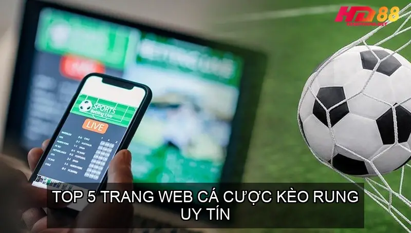 Kèo Rung Bóng Đá Hướng Dẫn Chi Tiết và Chiến Lược 5 Top 5 Trang Web Cá Cược Kèo Rung Uy Tín